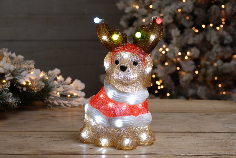 33Cm Lit Acrylic Dog With Lights